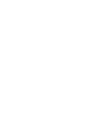 stlb logo icon